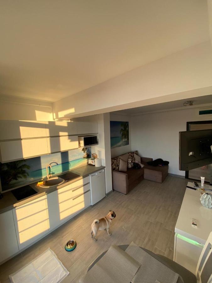 Apartament Edu Beach Resort Năvodari Exteriér fotografie